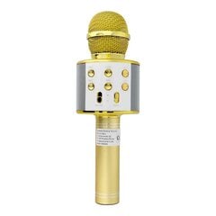 OEM CR58S, gold kaina ir informacija | Mikrofonai | pigu.lt