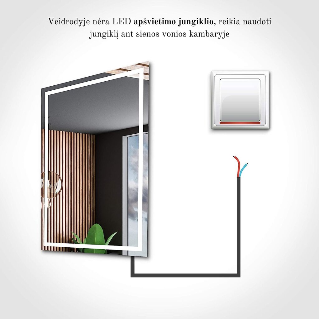 Veidrodis su LED Apšvietimu Vonios Kambariui, Kambariui, Svetainei - Assen - 60 cm, 60 cm kaina ir informacija | Vonios veidrodžiai | pigu.lt