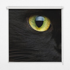 Roletas Katės akys, 50x50 cm kaina ir informacija | Roletai | pigu.lt