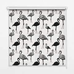 Roletas Juodieji flamingai, 50x50 cm kaina ir informacija | Roletai | pigu.lt
