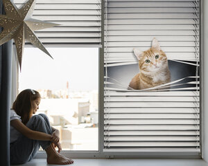 Roletas Raudona katė, 50x50 cm kaina ir informacija | Roletai | pigu.lt
