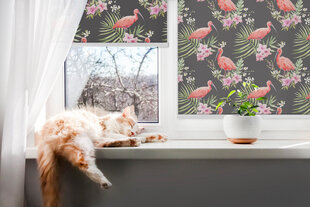 Roletas Flamingai ant augalų, 100x100 cm цена и информация | Рулонные шторы | pigu.lt