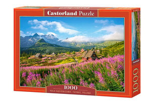 Dėlionė Castorland Tatrai, Lenkija, 1000 d. kaina ir informacija | Dėlionės (puzzle) | pigu.lt