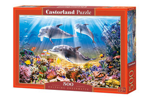 Dėlionė Castorland Delfinai, 500 d. kaina ir informacija | Dėlionės (puzzle) | pigu.lt