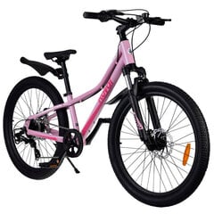 Велосипед для детей и подростков 24» Student Bicycle, розовый, Royal Baby цена и информация | Велосипеды | pigu.lt