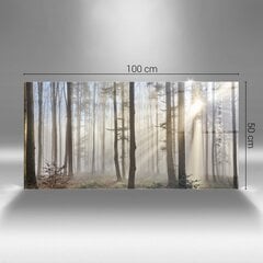 Холст принцип, лес в тумане 79,99 цена и информация | Репродукции, картины | pigu.lt