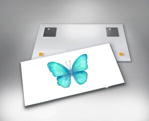 Reprodukcija Turkio spalvos vasaros drugelis kaina ir informacija | Reprodukcijos, paveikslai | pigu.lt
