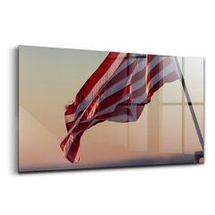 Reprodukcija Plaukioja JAV vėliava kaina ir informacija | Reprodukcijos, paveikslai | pigu.lt