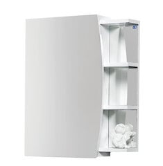 Pakabinama vonios spintelė Elza EV50, balta kaina ir informacija | RB bathroom Baldai ir namų interjeras | pigu.lt