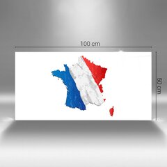 Reprodukcija Prancūzų vėliava kaina ir informacija | Reprodukcijos, paveikslai | pigu.lt