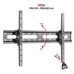 FN 45T 37''-75'' цена и информация | Кронштейны и крепления для телевизоров | pigu.lt