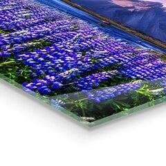 Reprodukcija Levandų gėlių vaizdas į Islandijos kalnus kaina ir informacija | Reprodukcijos, paveikslai | pigu.lt