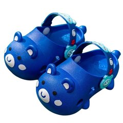Кроксы с голубым цветом 24/25 T11 BLUE 24/25 цена и информация | Детские тапочки, домашняя обувь | pigu.lt
