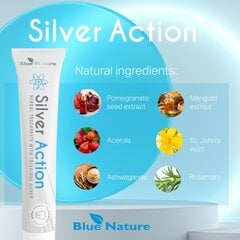 Отбеливающая зубная паста Alinco Silver Action Blue Nature, 50 мл цена и информация | Зубные щетки, пасты | pigu.lt