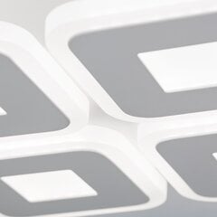 Orion lubinis šviestuvas Domino цена и информация | Потолочные светильники | pigu.lt