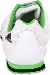 Кроссовки Adidas Jumpstar All Around 49 1/3 MJ G43325 49 1/3 цена и информация | Кроссовки для мужчин | pigu.lt