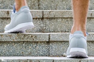 SPORTS REEBOK CL LTHR FX1699 цена и информация | Кроссовки для мужчин | pigu.lt