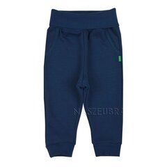 Sportinės kelnės berniukams G.T., mėlynos цена и информация | Спортивные штаны для мальчиков | pigu.lt
