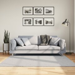 vidaXL kilimas 160x160 cm цена и информация | Ковры | pigu.lt