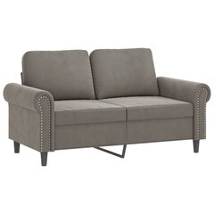 Dvivietė sofa, šviesiai pilkos spalvos, 120cm, aksomas kaina ir informacija | Sofos | pigu.lt