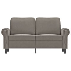 Dvivietė sofa, šviesiai pilkos spalvos, 120cm, aksomas kaina ir informacija | Sofos | pigu.lt