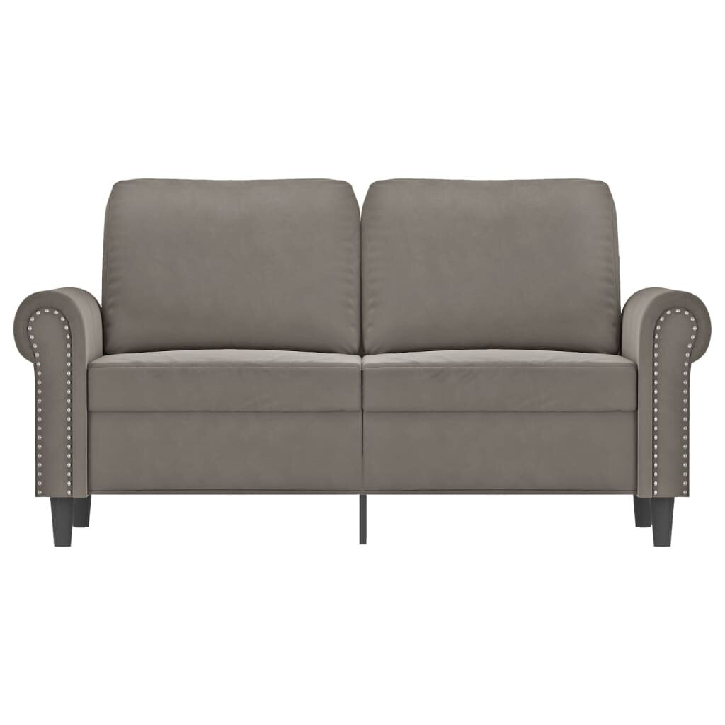 Dvivietė sofa, šviesiai pilkos spalvos, 120cm, aksomas kaina ir informacija | Sofos | pigu.lt