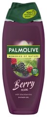 Dušo želė Palmolive Memories of Nature Berry, 500 ml kaina ir informacija | Dušo želė, aliejai | pigu.lt