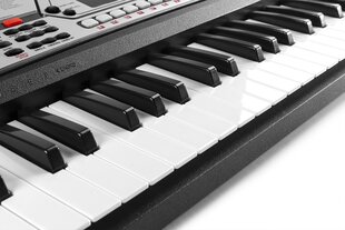 Sintezatorius Max KB7 kaina ir informacija | Klavišiniai muzikos instrumentai | pigu.lt