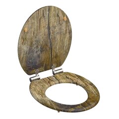 Schutte klozeto sėdynė Solid Wood MDF, ruda kaina ir informacija | Priedai unitazams, bidė | pigu.lt