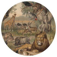 Fototapetai WallArt Animals of Africa цена и информация | Фотообои с инструментом и клеем - Бежевые листья эвкалипта, 400x280 см | pigu.lt