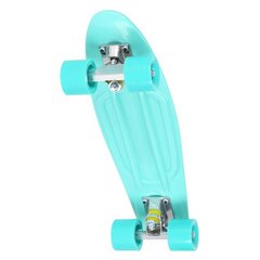 PENNYBOARD CLASSIC GREEN NILS EXTREME kaina ir informacija | Riedlentės | pigu.lt