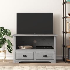 Televizoriaus spintelė vidaXL Bodo, 91x43x56 cm, pilka kaina ir informacija | TV staliukai | pigu.lt
