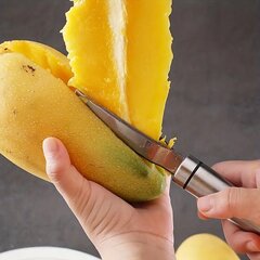 Deal mangų kauliukų išėmėjas, 1 vnt. kaina ir informacija | Virtuvės įrankiai | pigu.lt