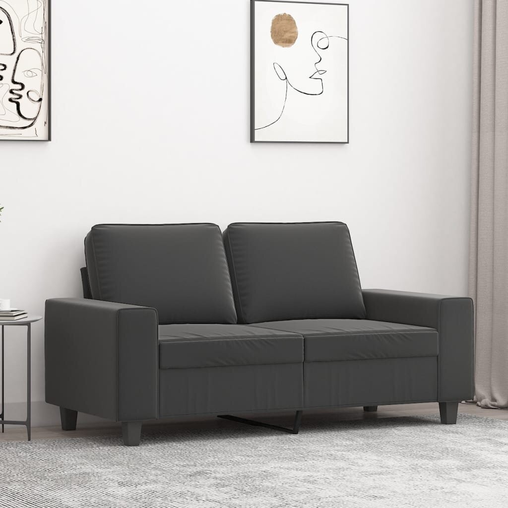 Dvivietė sofa, tamsiai pilka, 120cm, mikropluošto audinys цена и информация | Sofos | pigu.lt