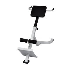 Скамья для упражнений на спину vidaXL цена и информация | Тренировочные скамьи | pigu.lt