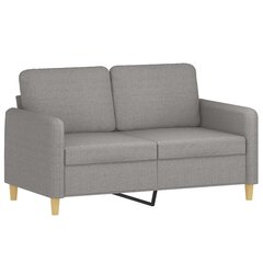 Dvivietė sofa vidaXL, Audinys, 120cm, šviesiai pilka kaina ir informacija | Sofos | pigu.lt