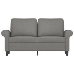 Dvivietė sofa vidaXL, Audinys, 120cm, tamsiai pilka kaina ir informacija | Sofos | pigu.lt