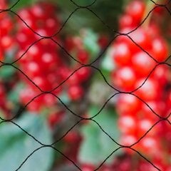 Tinklas nuo paukščių Nature Primo, 10x4m, 6030406, juodas kaina ir informacija | Sodo įrankiai | pigu.lt