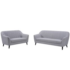 Sofa Aatrium Honduras, 145x85x84 cm, pilka kaina ir informacija | Sofos | pigu.lt