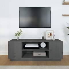 Televizoriaus spintelė, pilka, 110x35x40,5cm kaina ir informacija | TV staliukai | pigu.lt