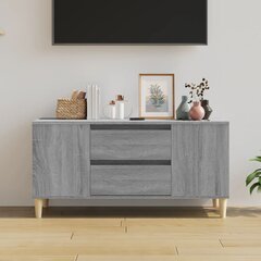 Televizoriaus spintelė vidaXL, 102x44,5x50cm цена и информация | Тумбы под телевизор | pigu.lt