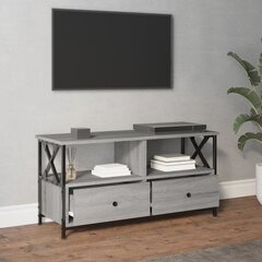 Televizoriaus spintelė vidaXL, 90 x 33 x 45 cm, pilka kaina ir informacija | TV staliukai | pigu.lt