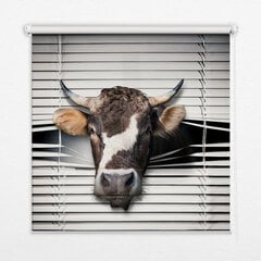 Vidinė užtemdoma roleta, Karvė, 60x140 cm kaina ir informacija | Roletai | pigu.lt