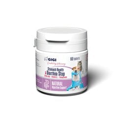 Добавка Gigi для кошек и собак в таблетках Stomach Health & Diarrhea Stop, 60 штук цена и информация | Витамины, добавки и средства от паразитов для кошек | pigu.lt