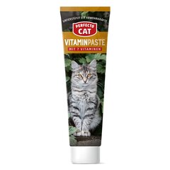 Perfecto Cat паста для кошек Vitaminpaste, 100 гр цена и информация | Витамины, добавки и средства от паразитов для кошек | pigu.lt