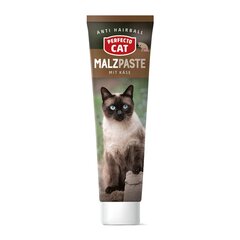 Паста Perfecto Cat для кошек Malzpaste, 100 г цена и информация | Витамины, добавки и средства от паразитов для кошек | pigu.lt