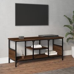 Televizoriaus spintelė vidaXL, 100 x 35 x 45 cm, ruda kaina ir informacija | TV staliukai | pigu.lt