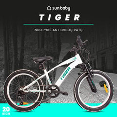 Rower 20 cali dla chłopca Tiger Bike Shimano RevoShift 6 biegowy biały цена и информация | Велосипеды | pigu.lt