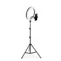 Кольцевая лампа для визажистов SmartQuad Kit цена и информация | Осветительное оборудование для фотосъемки | pigu.lt