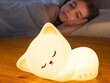 Evi naktinė led lempa, katinas kaina ir informacija | Vaikiški šviestuvai | pigu.lt